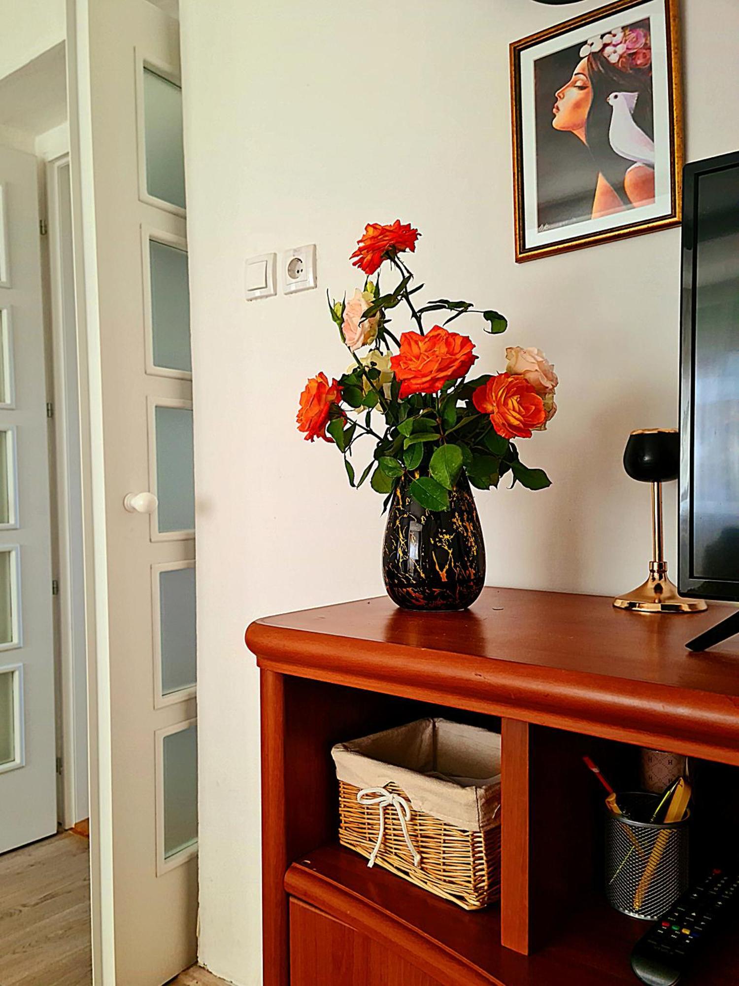 Citys Appartement Apatin Buitenkant foto